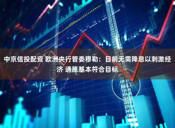 中京信投配资 欧洲央行管委穆勒：目前无需降息以刺激经济 通胀基本符合目标
